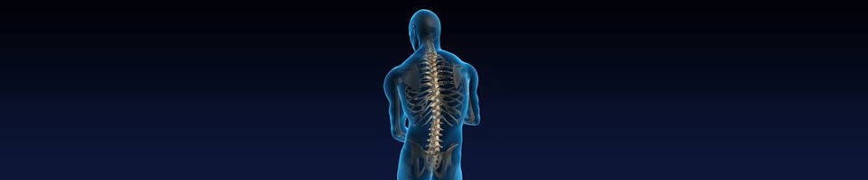 Tur�czi Anita - Gy�gytorna �s Rehabilit�ci� - Tur�czi Anita - Gy�gytorna �s Rehabilit�ci�