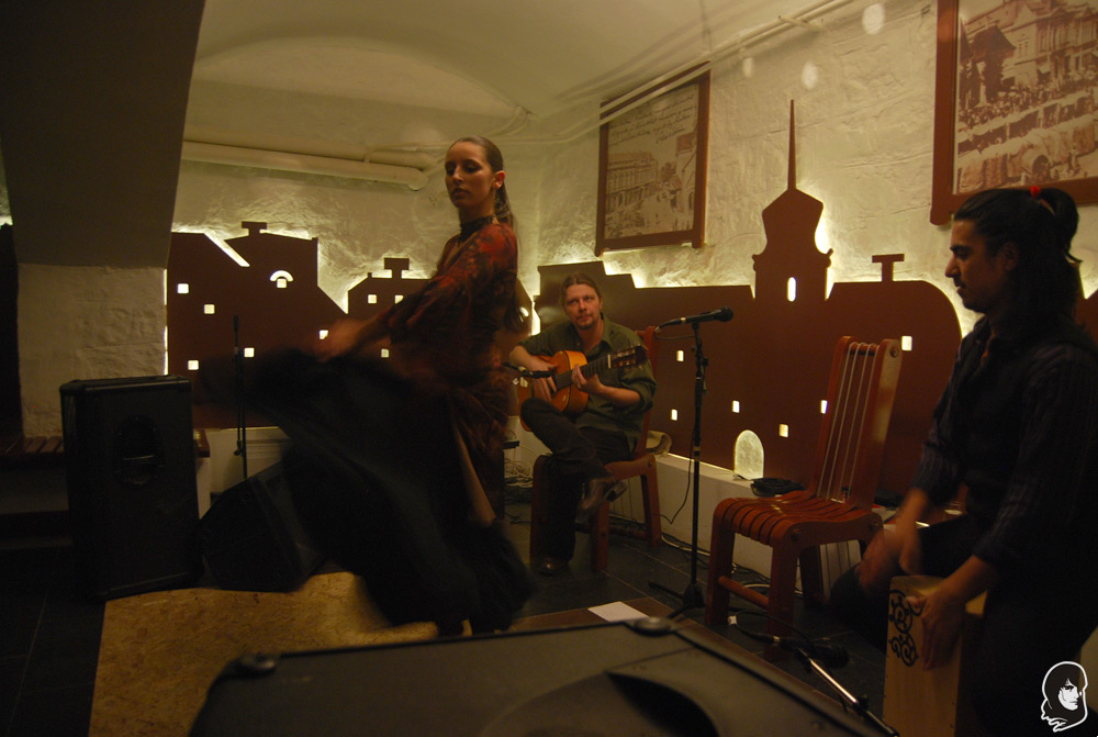 Flamenco Pasion - Vigad Art Caffe