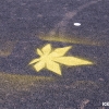 Graffiti verseny