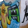 Donzse photos