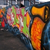 Donzse photos