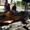 Főt�ri �k�rs�t�s