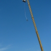 Bungee