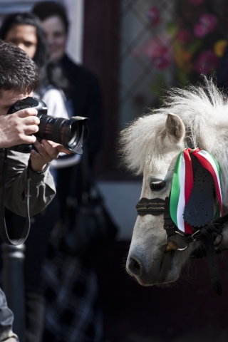 M�rcius 15 - 2011 - fot�: Deme Tam�s