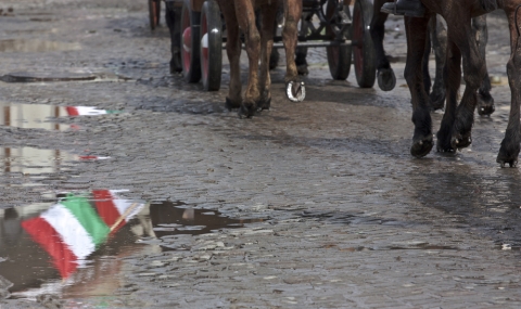 M�rcius 15, fot�: Deme Tam�s