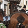 M�rcius 15, fot�: Deme Tam�s