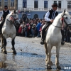 2012 M�rcius 15 - Torjai lovasok