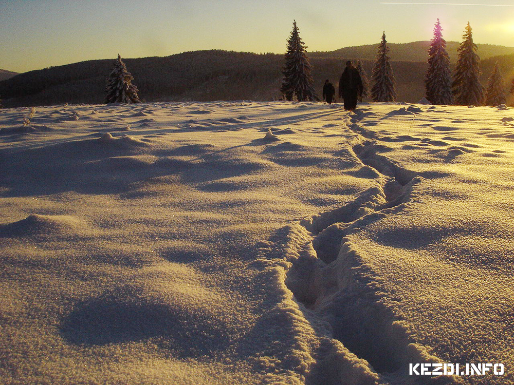 Kommand� f�l�tt - Kommand�