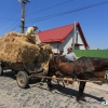Ny�ron napszem�vegben a Bod P�ter utc�ban