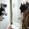 The Dinasty - a Vetr� csal�d ki�ll�t�sa a m�zeumban - fot�: Vetr� B. Barnab�s