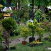 D�szn�v�ny ki�ll�t�s 2014 - fot�: Bokor Zsolt