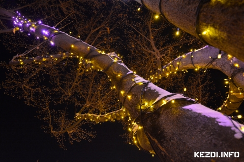 Főtéri fák karácsonyi díszben - fotó: Pascu Tímea