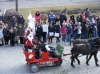 M�rcius 15 - 2009 (fot�: F�l�p T�r�k R�ka)