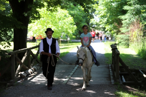 Zabolai Piknik - Mag�n �r�ks�g hete a zabolai Mikes birtokon 2018