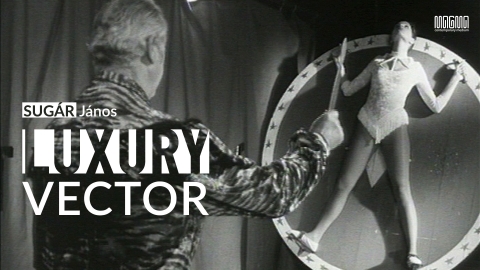 Luxus Vektor - Sug�r J�nos ki�ll�t�sa - Sug�r J�nos k�pzőműv�sz alkot�saib�l � install�ci�, digit�lis print, ready-made, stencil, �talak�tott t�rgyak, filmek, vide�k � mutat be a MAGMA egy bő v�logat�st a 80-as �vektől napjainkig. A ki�ll�t�st megnyit� akci�ra 2022. janu�r 18-�n, kedden 19 �r�t�l ker�l sor, mely alkalomb�l a műv�sz elk�sz�ti az 1983-as �Magyarorsz�g a ti�d lehet� c. munk�j�nak replik�j�t.

A k�z�ns�g Sug�r 2003-as Időj�rőr c. projektje sor�n keletkezett teljes sz�veganyag�t most elősz�r olvashatja a ki�ll�t�s aprop�j�n megjelent k�tetben, mely projekt a Gravit�ci� � Moszkva T�r c�mű csoportos k�zt�ri ki�ll�t�s keret�n bel�l j�tt l�tre a Ludwig M�zeum Budapest � Kort�rs Műv�szeti M�zeum rendez�s�ben.

Első rom�niai egy�ni ki�ll�t�sa Sug�rnak 2009-ben volt Ha nem provok�lod, a hatalom l�thatatlan c�mmel Marosv�s�rhelyen a B5 Studio / ARTeast Alap�tv�ny szervez�s�ben, ahol tov�bbi csoportos ki�ll�t�sokon vett r�szt, legut�bb 2020-ban a Kikapcsoltan � Bekapcsoltan 2 alkalm�val, valamint 2019-ben a Tűz a m�zeumban c�mű k�z�ss�gi projektj�vel a Gal�ri�k Feh�r �jszak�ja keret�n bel�l.
2014-ben a Bukaresti Nemzetk�zi Kort�rs Műv�szeti Bienn�le r�sztvevője, jelen ki�ll�t�son is l�that� MUTE c�mű videoműv�vel. A MAGM�-ban 2019-ben a Duet(t), valamint 2021-ben a Kikapcsoltan � Bekapcsoltan 2 csoportos ki�ll�t�sok alkalm�val tal�lkozhatott a k�z�ns�g n�h�ny alkot�s�val, szint�n az ARTeast Alap�tv�ny szervez�s�ben.

Rupert Sheldrake elm�lete a morfikus rezonanci�r�l l�nyeg�ben azt �ll�tja, hogy l�tezik egy, m�g felder�tetlen k�lcs�nhat�s a m�lt �s a jelen k�z�tt, �s minden kor�bbi, azaz első megval�sul�s befoly�solja a k�sőbbi hasonl� helyzeteket. �rdekes lehet ezt a műv�szetre �rtelmezni. A műv�sz a m�ltb�l �rkező morfikus rezonanci�k felfog�ja �s transzmittere. Az alkot�s az a tev�kenys�g, ami eleve j�vő idejű, mert nincs hozz� k�thető jelen-idejű ig�ny, feladat, elv�r�s, parancs. Egyed�l az alkot�t�l f�gg. �s mint első megval�sul�s, hat�ssal van a t�bbi, k�sőbb sz�letendő műt�rgyra, (Minden műalkot�s a műv�szet fogalom �j definici�ja kell hogy legyen � Erd�ly Mikl�snak tulajdon�tott kijelent�s).
Teh�t a műv�szet a j�vőben felfedezendő morfikus rezonancia modellje. � Sug�r J�nos

Sug�r J�nos (Budapest, 1958 �) szobr�sz szakon tanult a Magyar K�pzőműv�szeti Főiskol�n 1979-84 k�z�tt, ezzel p�rhuzamosan 1979-86 k�z�tt akt�v tagja volt az Erd�ly Mikl�s �ltal vezetett Indigo csoportnak, majd 1985-től a Bal�zs B�la St�di� tagja, 1990-95 k�z�tt vezetős�g�nek tagja. 1987-88 �s 1989-90-ben Alternat�v filmiskola c�mmel előad�ssorozatot tartott Petern�k Mikl�ssal a Tudom�nyos Ismeretterjesztő T�rsulat J�zsef Attila Szabadegyetem�n. A 80-as �vekben t�bbsz�ri alkalommal St�di� d�jas, majd Derkovits �szt�nd�jban r�szes�l, 2006-ban Munk�csy-d�jat kapott.
A 80-as �vek elej�től sz�mos orsz�gos, illetve jelentős nemzetk�zi csoportos ki�ll�t�s r�sztvevője, t�bbek k�zt 1991-ben a S�o Paulo-i Bienn�l�n, 1992-ben a kasseli Document�n, majd 1996-ban az 1. Manifest�n Rotterdamban, ez ut�bbi fejlem�nyek�nt Jurij Leidermannal k�z�sen 1998-ban a budapesti Ludwig M�zeumban. 1988-ban �s 1999-ben az Experimental Intermedia �szt�nd�jasa New Yorkban. Filmjeiből 1998-ban az Anthology Film Archives, New York mutatott be v�logat�st. V�logatott egy�ni �s csoportos ki�ll�t�sainak list�ja itt tekinthető meg.
Mindek�zben a Magyar K�pzőműv�szeti Egyetem Interm�dia Tansz�k�nek egyik alap�t�ja, 1990-től műv�szeti �s m�diaelm�leti oktat�ja, n�h�ny �ve pedig a tansz�k vezetője.
1994-ben az Artslink program keret�ben a Clevelandi Műv�szeti Int�zet rezidense.
Alap�t� tagja a Media Research Alap�tv�nynak, amely1994-ben, 95-ben �s 96-ban a MetaF�rum konferencia-sorozat szervezője Geert Lovinkkal �s Diana McCartyval.
A Tilos R�di� 2007-től műk�dő Alkot�s �tja, a kort�rs k�pzőműv�szetet bemutat� tematikus, lass�tott elm�l�s� �lőbesz�d-demonstr�ci� műsor�nak egyik műsorvezetője.
M�dialem�leti publik�ci�i �s szerkesztői munk�ja egyar�nt jelentős, ut�bbi tev�kenys�g�re k�t p�lda a 90-es �vekből a Hypertext + multim�dia. (szerk.), Artpool, Budapest, 1996 �s a Buld�zer, (szerk.) Media Research, Budapest, 1997. Tov�bbi v�logatott publik�ci�inak list�ja itt tal�lhat�.
P�ly�ja elej�n, t�bbek k�zt a klasszikus sokszoros�t� grafikai elj�r�sok radik�lis �tv�z�s�ből l�trej�vő k�lcs�nhat�sok �rdekelt�k. K�zt�ri alkot�sok, public art művei �s akci�i mellett posztkonceptu�lis install�ci�kat, filmeket, vide�kat k�sz�t, sz�nh�zi d�szlet is szerepel alkot�sai k�zt, vagy telev�zi�s műsork�sz�t�s �s r�di�s műsorvezet�s.

A ki�ll�t�t�rbe val� bel�p�s ingyenes, azonban a hat�lyban l�vő j�rv�ny�gyi rendeletek tiszteletben tart�s�val lehets�ges, azaz �rv�nyes olt�si igazolv�ny felmutat�s�hoz k�t�tt. A ki�ll�t�s l�togat�sa alatt a maszkvisel�s �s a t�vols�gtart�s k�telező.

A ki�ll�t�s 2022. �prilis 15-ig l�togathat� � h�tfő �s �nnepnapok kiv�tel�vel � naponta 11-19 �ra k�z�tt.

Szervező(k): MAGMA Kort�rs K�zeg Egyes�let, Sz�kely Nemzeti M�zeum | Partner(ek): Kov�szna Megye Tan�csa | T�mogat�(k): NKA - Magyar Nemzeti Kultur�lis Alap, Bethlen G�bor Alap, Sepsiszentgy�rgy Megyei Jog� V�ros Tan�csa

Megnyit�: 2022 Jan 18, 19:00
L�togathat�: 2022 Jan 19 � 2022 �pr 15
Nyitvatart�s: 11:00�19:00, h�tfőn �s �nnepnapokon z�rva
Helysz�n: MAGMA Kort�rs Műv�szeti Ki�ll�t�t�r
Szerző: Sug�r J�nos
Koordin�tor(ok): Kisp�l �gnes-Evelin, Kisp�l Attila