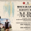 Az 1848/49-es forradalom s szabadsgharc tiszteletre sszelltott nnepi műsor Molnr Levente, Brsony Blint s a Magyar Rhapsody Projekt előadsban