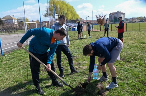 Tizennegyedik alkalommal szerveztünk Tavaszi Zöld Napokat - Péntektől vasárnapig Kézdivásárhelyen tizennegyedik alkalommal rendeztünk Tavaszi Zöld Napokat. A víz világnapjára időzített háromnapos rendezvénysorozat előadásokat, kerekasztal-beszélgetést, kreatív műhelygyakorlatot foglalt magában, ugyanakkor csemeteültetés, asztalitenisz-bajnokság és kerékpáros ügyességi verseny is volt.
A Tavaszi Zöld Napok rendezvénysorozat pénteken csemeteültetéssel kezdődött a Kicsid Gábor Sportcsarnok melletti füves területen, ahol a civil szervezet hazai és külföldi önkéntesei, valamint a Háromszéki Ágyúsok jégkorongcsapatának játékosai huszonöt gyümölcsfacsemetét ültetett el. A csemetéket Kocsis Zoltán adományozta az egyesületnek. Délután partnerségben a helyi sportirodával a sportcsarnok előterében több mint hatvan résztvevővel amatőr asztalitenisz-bajnokságot tartottak. Az első nap zárásaként a sportszálló társalgójában civil kerekasztal-beszélgetésre került sor, ahol az Év civil szervezete és az Év önkéntese pályázati kiírást ismertették a résztvevőkkel. A CIVEK partnerségben tető alá hozott esemény meghívottja Imre Krisztina Mária, Hargita Megye Tanácsának eseményszervezésért és protokollért felelős szakfelügyelője volt.
Szombaton délelőtt a sportszálló társalgójában Zero Waste háztartás – tisztítószerek természetes hozzávalókból címmel tartottak többórás kreatív foglalkozást, délután pedig a Kendu Egyesülettel közösen kerékpáros ügyességi versenyre került sor a sportcsarnok melletti téren. A négy korosztály számára kiírt verseny végén a legjobbakat érmekkel, könyvekkel és oklevéllel díjazták, legnépesebb a kisiskolás résztvevők tábora volt.
Vasárnap a Vigadó Művelődési Központ dísztermében folytatódott a rendezvénysorozat, ahol az érdeklődők különböző témájú előadásokat hallgathattak meg. Márkos Réka orvos-kozmetikus kézműves szappanokat és kozmetikai termékeket mutatott be, Lukács-Paizs Hunor vállalkozó a napenergia mindennapi felhasználásáról, Pocsai-Szász Rozália pszichoszociális tanácsadó a tudatosságról és a pozitív gondolkodásról, Forró Apor személyi edző a testedzésről, Lukács Helga Erika fogorvos a fogápolásról, dr. Mocsáry-Gondos Beáta pedagógus pedig az elsősegélynyújtásról tartott előadást. Az eseményen közreműködtek Borsó Andrea és Szabó Tímea Barbara, a Bod Péter Tanítóképző Kis Emese pedagógus által felkészített diákjai. Ráduly Attila így mérlegelt a tizennegyedik kiadás végén, melynek jelmondata „Víz a békéért.“ volt. Amikor a víz területén együttműködünk, a keltett hullámok továbbgyűrűznek – elősegítve ezzel a békét, a jólétet és a kihívásokkal szembeni ellenálló képességet. Jövőre is megszervezzük az eseményt a résztvevők számától függetlenül. Úgy vélem ugyanis, nem elég csupán egy nap a holnapért és az éghajlatért, legalább két napot szeretnénk ennek szentelni. És Kézdiszéken jelenleg ez az egyetlen három napig tartó, zöld dolgokról szóló eseménysorozat, amely változatos programjaival minden korosztályt megszólít. Arra kell gondolnunk, hogy létünk alapja az élővilág változatosságának megőrzése, és erre kell figyelmeztetnünk a lakosságot is – összegzett.
Partnerek: Európai Szolidaritási Testület, Vigadó Művelődési Ház, Kovászna Megyei Művelődési Központ, kézdivásárhelyi Nők Egyesülete, a Kendu Egyesület, Bod Péter Tanítóképző és a Bethlen Gábor Alapkezelő Zrt.