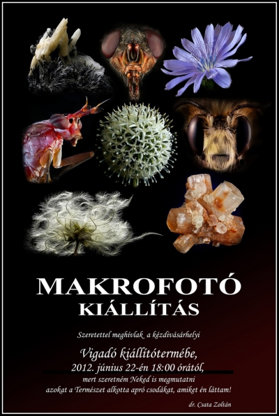 Dr. Csata Zolt�n makrofot� ki�ll�t�sa - 2012. j�nius 22., p�nteken 18 �r�t�l Makrofot� ki�ll�t�s - Dr. Csata Zolt�n ki�ll�t�sa.Dr. Csata Zolt�n hidrobiol�gus, biol�giatan�r, iskolaigazgat�, muzeol�gus �s jelenleg a Babes-Bolyai Tudom�nyegyetem sepsiszentgy�rgyi kihelyezett tansz�k�n - biotechnikai �s �kol�giai rendszerek m�rn�ki tudom�ny�n - adjunktus. T�bb kiadv�nya jelent meg, t�bbek k�z�tt a k�rny�k�nk�n �l� k�t�lt�ekr�l. A Mohos Fot�klub tagja, �s m�r t�bb mint h�sz �ve foglalkozik makro fot�z�ssal.