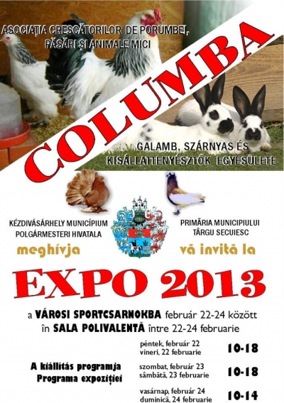 Expo 2013 - a Columba galamb, sz�rnyas �s kis�llatteny�szt�k egyes�let�nek �ves ki�ll�t�sa - A Columba galamb, sz�rnyas �s kis�llatteny�szt�k egyes�lete Expo 2013 �ves ki�ll�t�s�t tartja a v�rosi sportcsarnokban febru�r 22-24 k�z�tt.A ki�ll�t�s programja:Febru�r 22, p�ntek: 10:00 - 18:00Febru�r 23, szombat: 10:00 - 18:00Febru�r 24, vas�rnap: 10:00 - 14:00