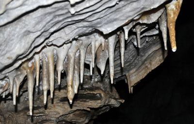 Tra a Sug barlanghoz - A Speoalpin szakosztly barlangszssal egybekttt trt szervez a Vaslb-i Sug barlanghoz 2013 prilis 21-n.A barlangltogats felttelei:- ajnlott tra ltzet- a ruhzat s a lbbeli sszesrozdhat- a benti hmrsklet 7-10 C kztt van- a barlangban lmpkat s a fejre sisakot hasznlunkInduls reggel 7:00 rakor a Sinkovits Sportplya ell.A mikrobuszra a helyfoglals 15 lej elleg.Jelentkezni Szcs Jnos-nl a 0741037818-as telefonszmon.