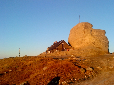 Gyalogtra a Bucsecs hegysgre - A Speoalpin szakosztly gyalogtrt szervez a Bucsecs hegysgre 2013 szeptember 29-n.tvonal Rozsny - Malaiesti menedkhz (1720m) - Hornurile Malaiesti - (ha az idjrs engedi) - Omu cscs - Malaiesti menedkhz - Rozsny.Az egsz napos tra j fizikai kondicit ignyel, vzhatlan bakancs s eskabt + stteds esetre lmpa szksges.Induls reggel 7.00 rakor a Sinkovits sportplya ell.rdekldni s helyet foglalni (19 szemly) a mikrobuszra (15 lej elleg) Szcs Jnosnl a 0741037818-as telefonszmon.FrisstsA tervezett tra elhalasztdik jv vasrnapra, szeptember 29-re, mivel a lefoglalt busz nem r haza Magyarorszgrl.A trra tli felszerels, (rteges ltzet) ajnlott.