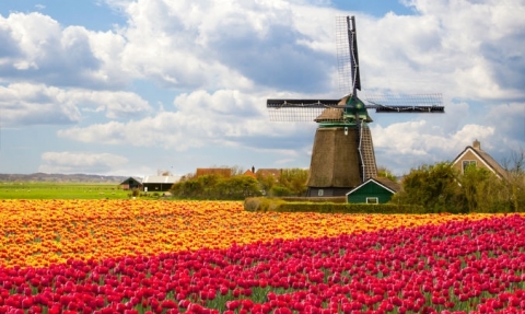 Meseklub a V�rosi K�nyvt�rban - ismerked�s Hollandia legszebb t�jaival - A k�zdiv�s�rhelyi B�r� Wessel�nyi Mikl�s V�rosi K�nyvt�rban 2013. okt�ber 24-�n, cs�t�rt�k�n Meseklub, 15-16 �ra k�z�tt meseolvas�s, rajzol�s az �vod�soknak, 16-17 �ra k�z�tt meseolvas�s, ismerked�s Hollandia legszebb t�jaival az I-IV. oszt�lyosoknak.