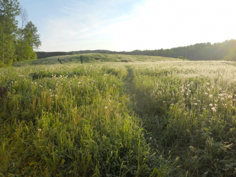 Mesterséges - természet - - A Földön a változás az egyike azon dolgoknak, amik állandóak. Minden változik., átalakul és fejlődik. Talán az egyetlen élőlény ezen a bolygón, aki nemcsak saját maga változik, hanem a saját környezetét is nagyban befolyásolja, az az ember. Megjelenésünk óta folyamatosan átalakítjuk környezetünket, erőforrásait felhasználjuk, oly módon. hogy az csak és kizárólag az emberiség javát szolgálja.
Az iparosodás hirtelen növekedése óta, szinte már nincs olyan terület a Földön, ahol az emberi tevékenység nyomai ne látszódnának. Az emberek életét olyan folyamatok irányítják, mint például a nyersanyagok kitermelése, termékek előállítása, termékek eladása és megvásárlása. Lassan de biztosan elszakadunk természetes életmódunktól, helyettük pedig a mesterséges anyagok előállítása veszik át a szerepet. Nap, mint nap újabb és újabb anyagokat fedeznek fel, illetve állítanak elő és ezekkel próbáljuk helyettesíteni a természetes anyagokat.
Az általunk fogyasztott ételek nagy részét már hangzatos nevekkel ellátott anyagok teszik ki, mint például a dimetil-dikarbonát, bifenil, natamicin, stb. Persze ezek az anyagok, ártalmatlanok'', hiszen tesztelve voltak különböző állatokon, de vajon hosszú távon is előre jelezhető a hatásuk?
Minden egyes nap tucatnyi vegyszer, gyógyszer, és különböző mérgező anyagok hatásainak vagyunk kitéve, de talán nem ez a legrosszabb, hanem az, hogy ezeket a dolgokat annyira megszoktuk, hogy szinte már természetesnek vesszük. Nem vesszük tudomásul a ránk leselkedő veszélyeket, a mesterséges anyagok által okozott károsodásokat, csak mikor már túl késő.
Ugyanakkor megfigyelhetünk egy nagyon furcsa dolgot, egyfajta marketing fogást, ugyanis megpróbáljuk a mesterséges dolgokat a természettel összekapcsolni, jobb színben feltüntetni. Sokan elfogadják, vagy csak nincsenek tudatában annak, hogy mi a különbség ezen anyagok között.
Ezek a változások azok, amik talán jelen pillanatban nem tűnnek súlyos problémának, viszont hosszú távon sok következményt vonhatnak maguk után. Hatalmas betondzsungelekben élünk, vegyi anyagokkal és tartósítószerekkel kezelt élelmet fogyasztunk, ahol már az egyszerű náthát is laborokban előállított gyógyszerekkel kezelünk. Egy olyan mesterséges világot próbálunk teremteni, ahol lassan már csak illúzió számunkra a természet.
Változtatni mindig lehet, de ahhoz hogy megfelelően cselekedjünk, időben fel kell ismernünk a problémákat.
Szerző: Boros Levente környezetmérnök a Zöld Nap Egyesület önkéntese
Fotó: Ráduly Csaba