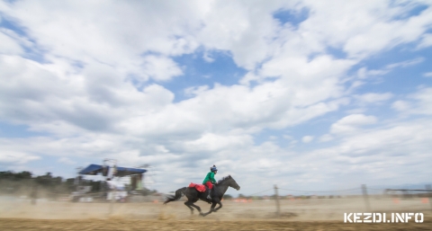 Huszonnyolc jelentkez a Szkely Vgtn - Huszonnyolc lovassal startol a 2014-es Szkely Vgta jv hten, jlius 19-n az eresztevnyi ris-Pincetetn. Az igazolt eredet lovak versenyn, azaz a Szkely Vgta futamon tizenhat telepls versenyzje, a Gb Futamon tizenkt indul mri ssze rtermettsgt. A gyztes ebben az vben nem csak pnzjutalommal s a serleggel tr haza, hanem egy vndorszablyval is. A Dzsa Gyrgy vfordulra pedig korabeli dszbe ltzik a tr is.

A Szkely Vgta j szablyzata rtelmben idn kt kategriba lehetett jelentkezni a teleplseknek. A Nemzeti Vgtra val kijutst megclz Szkely Vgta futamra csak igazolt eredet lval, mg a Gb Futamra brmilyen ngy vesnl idsebb patssal be lehetett nevezni. A mezny a kvetkezkppen ll ssze:

Szkely Vgta, 16 nevez: Bart, Blafalva, Elpatak, Kszon, Kovszna, Kzdivsrhely, Kilyn, Lemhny, Marosvsrhely, Nyujtd, Ozsdola, Sepsiszentgyrgy, Szkelyudvarhely, Szkelyvarsg, Szotyor, Vargyas.

Gb Futam, 12 nevez: Cskkozms, Gyergyszrhegy, Gyergyszentmikls, Homordszentpl, Kzdioroszfalu, Kzdisrfalva, Kzdivsrhely, Rty, Sepsiszentgyrgy, Szotyor, Szovta, Tusndfrd.

Vndorszablya a lovasnak s teleplsnek

Kt szablyt ajndkoz a Szkely Vgtnak Szab Istvn hagyomnyrz fegyverkovcs, npi iparmvsz, restaurtor, amelybl az egyik a lovasnl/teleplsnl marad, s amelybe belevsi a gyztes telepls s a lovas nevt. A msik marad a vndorkard. A vndorszablya egy 1845 M. lovastiszti szablya, a gyztesnek jr ajndk szablya egy 1861 M. gyalogostiszti szablya. 

Dzsa-korabeli dszlet a Szkely Vgtn

A 2014-es Szkely Vgtt a Dzsa Gyrgy vezette paraszthbor 500 ves vfordulja jegyben tartjk, a szervezk gy igyekeznek korabeli dszletekkel elltni a helysznt. A kutatmunkt Dr. Szekeres Attila Istvn heraldikus vgezte, az ltala elvgzett heraldikai munkt pedig Grubisics Csaga grafikus vektorizlta, aki ezekkel dszti majd fel a versenyplyt s a kzlelmezsi jurtkat.

A Szkely Vgta hivatalos zszlajn kvl mg hrom zszl dszti a plya kls krt. A korabeli magyar hadizszlk mintjra ezek fecskefarkak. A Dzsa Gyrgy vezette lzad kereszteseket jelkpezend fehr mezben vrs, velt oldal latin kereszttel elltott zszl idzi a felkel sereget. A lzadkat lever Szapolyai Jnos erdlyi vajda seregt a Szapolyai-cmerbl lekpezett zszl idzi, ezek is visszaksznnek a plya kls krben. „Mindkt oldalon a vezr ktdtt a szkelyekhez, Dzsa Gyrgy szkely volt, a nemes hagyomny szerint Dlnokban szletett, a msik oldalon a vezr, Szapolyai Jnos erdlyi vajda egyben a szkelyek ispnja cmet is viselte. Ettl eltekintve az tkzetben a szkelysg nem vett rszt. Teht, a flezer vvel ezeltti esemnyek nem indokoljk, de az vfordult kihasznlva bemutatjuk az n. rgi szkely cmerbl lekpezett Dzsa-korabeli szkely zszlt” – fejtette ki Dr. Szekeres Attila heraldikus.   

A korabeli mltsgviselk kzl II. Ulszl kirly cmere, Bakcz Tams bboros, esztergomi rsek, a kereszteshbort meghirdet ppai bulla cmere, Szapolyai Jnos rks szepesi ispn, erdlyi vajda, a szkelyek ispnjnak cmere, Bthori Istvn temesi ispn, az Als rszek fkapitnya a keresztesek ltal ostromolt Temesvr vdelmezjnek cmere, valamint Szentgyrgyi Pter grf, orszgbr pecstje dsztik majd a jurtkat. Az alkalmat kihasznljk arra is, hogy a szkelysg korabeli cmert npszerstsk. Ezeken kvl a Szkely Vgta helysznn egy rfra egy 14 mter nagysg szkely lobogt vonnak fel az n. j szkely cmer elemeivel, az arany nappal s nvekv ezst holdsarlval.

A dsztsrl s a heraldikai munkrl rszletesebben a www.szekelyvagta.ro honlapon olvashatnak.

Fot: Deme Tams