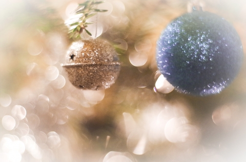 Festivalul de colinde şi obiceiuri de iarnă, ediţia a XXIV-a - December 14.-én, vasárnap, 14 órától a Vigadó nagytermében a 'Festivalul de colinde şi obiceiuri de iarnă, ediţia XXIV-a' (Karácsonyi énekek és téli hagyományok XXIV. fesztiválja) eseményen vehetnek részt az érdeklődők.
