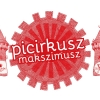 Picirkusz Maximusz a 2015-s Székölykökön az Ika váránál