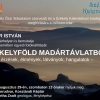 Fodor Istv�n Sz�kelyf�ld mad�rt�vlatb�l c�m� fot�ki�ll�t�sa a Koszt�ndi-k�pt�rban