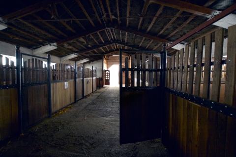 Lovagl�s a Sacramento Lovasklubban - Lovagl�s a Sacramento Lovasklubban

Szolg�ltat�sok:
Fut�sz�ras oktat�s kezd�knek - 35.00 lej/f�
Egy �r�s kar�mlovagl�s - 40.00 lej/f�
Egy �r�s tereplovagl�s - 50.00 lej/f�
Ugr�edz�s - 80.00 lej/f�
Oszt�lyoknak, csoportoknak lovas program �s napi men� 30 lej/f�
B�rtart�s