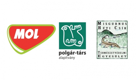 Fiatalok �s term�szetv�delmi ter�letek h�l�zata - Fiatalok �s term�szetv�delmi ter�letek h�l�zata

A term�szetv�delmi ter�letek akkor tudj�k leghat�konyabban biztos�tani a term�szeti �rt�kek v�delm�t, ha egym�ssal �sszek�ttet�sben vannak, h�l�zatot alkotnak. K�l�n�sen fontos az �sszek�ttet�s a v�ndorl� fajok sz�m�ra, de minden �l�l�nynek sz�ks�ge van terjeszked�si lehet�s�gre is az �letben marad�shoz. Az eur�pai term�szetv�delem m�r t�bb �vtizede elkezdte gyakorlatba �ltetni az �kol�giai h�l�zatok elv�t, �s a tag�llamok l�trehozt�k a Natura 2000 h�l�zatot. 
A 'Fiatalok �s term�szetv�delmi ter�letek h�l�zata a d�lkelet-erd�lyi vulk�ni r�gi�ban' c�m� projekt c�lja Sz�kelyf�ld term�szetv�delmi ter�leteinek, Natura 2000-es ter�let-h�l�zat�nak, term�szeti �rt�keinek megismertet�se a r�gi�ban �l� fiatalokkal, egy l�togat�k�zpont kialak�t�sa �s a v�dett ter�let-h�l�zat funkcionalit�s�nak jav�t�sa.
A projekt kezdete �ta eltelt egy h�napban 800 sz�kelyf�ldi fiatal tanult a r�gi� term�szetv�delmi ter�leteir�l, term�szeti �rt�keir�l. A cs�kszeredai, gyergy�szentmikl�si, sz�kelykereszt�ri, udvarhelyi, korondi, bar�ti, sepsiszentgy�rgyi, k�zdiv�s�rhelyi iskol�k di�kjai el�ad�sok keret�ben ismerkedtek a fenti t�m�kkal. A di�kok egy r�sze a telep�l�s�kh�z k�zeli term�szetv�delmi ter�leten terepmunk�ban is r�szt vett, a k�vetkez� helysz�neken: B�k�s-szoros-Nagyhagym�s Nemzeti Park, Borzonti Ny�res l�p, Alcs�ki-medence Natura 2000 ter�let (Bors�ros-l�p), R�k-tava (Nagygalambfalva), Bodok-Bar�t Natura 2000 ter�let (Sug�sf�rd� �s K�pec k�zel�ben), Perk�, Cs�ki-havasok Natura 2000 ter�let. A v�dett ter�letek n�v�ny �s �llatvil�g�t helyi szakemberek mutatt�k be, emellett a fiatalok az �reg f�k m�r�s�nek m�dszer�t �s a t�cs�k �l�vil�g�t is megismert�k.
A projektben r�sztvev� fiatalok, tan�rok, a term�szetv�delmi ter�letek kezel�i �s szak�rt�i egy Facebook csoportban inform�ci�kat osztanak meg k�rny�k�k term�szeti �rt�keir�l. A Fiatalok �s v�dett ter�letek h�l�zata nev� csoport b�rki �rdekl�d� sz�m�ra nyitott. A legt�bb, leg�rdekesebb adatot szolg�ltat� term�szetb�v�rokat jutalomban r�szes�tj�k. Az �sszegy�lt eredm�nyeket egy term�szetv�delmi t�m�j� l�togat�k�zpont kialak�t�s�hoz, berendez�s�hez haszn�ljuk fel, melynek megnyit�s�ra augusztusban ker�l sor a Riehen Egyes�let Erdei Iskola Vend�gh�z�ban.
A projektet a R�ti Cs�k Term�szetv�delmi Egyes�let bonyol�tja le, partnerei a Pog�ny-havas Kist�rs�gi T�rsul�s, a Hargita megyei K�rnyezetv�delmi �gyn�ks�g, a Riehen Egyes�let, term�szetv�delmi ter�letek kezel�i, iskol�k. 
A projekt t�mogat�i a Z�ld�vezet program keret�ben a Polg�r-T�rs Alap�tv�ny �s a MOL Rom�nia.