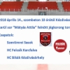 M�ty�s Attila j�gkorong torna