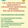 A 34. szm Gbor ron cserkszcsapat fogadalomttele 2018 mjus 20 - Pnksdvasrnap Kzdivsrhelyen
