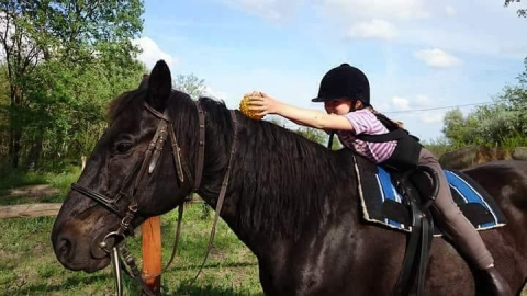 Mozg�sfejleszt�s L�h�ton K�pz�s Kurtapatakon, Felsőh�romsz�ken, Erd�lyben - 2018 j�nius 30 �s j�lius 1 k�z�tt mozg�sfejleszt�s l�h�ton k�pz�sre ker�l sor Kurtapatakon, Felsőh�romsz�ken, Erd�lyben.

K�pz�s�nk elv�gz�se ut�n k�t koroszt�ly sz�m�ra ny�jthat� fejleszt�s. Egyr�szt az ovisoknak mond�k�s, dalos, mozg�s- �s k�pess�gfejlesztő torn�val l�h�ton, m�sr�szt a kisiskol�soknak j�t�kos form�ban t�rt�nő mozg�s- �s k�pess�gfejleszt�s szint�n l�h�ton. A k�pz�s sor�n kit�r�nk a lovasfoglalkoz�s fel�p�t�s�re, a gyermekek k�pess�geinek felm�r�s�re, az idegrendszeri �retlens�g okaira, t�neteire, ter�pi�ira, a seg�ts�gny�jt�sra, iskola�retts�g felm�r�s�re, tanul�si zavarok fajt�ira, t�neteire, rajzelemz�sre. Azonk�v�l gyakorl�s, gyakorl�s, gyakorl�s! Lovakat �s a fejleszt�shez sz�ks�ges eszk�z�ket mi biztos�tunk a k�pz�s sor�n! Testileg �s �rtelmileg eg�szs�ges gyermekekkel foglalkozunk!

Az intenz�v k�pz�s 2 napos 2018. j�nius 30 - j�lius 01 k�z�tt zajlik Kurtapatakon a Zonda Vend�gh�zn�l.

ZONDA Vend�gh�z
Kurtapatak, Fő�t 137 sz�m, 527144 Kov�szna megye, Rom�nia

R�szletfizet�sre van lehetős�g a k�pz�s kezdet�ig! 
Tan�s�tv�nyt rom�n nyelven is ki�ll�tjuk!
Bővebb inform�ci�: www.lopofa.hu

https://www.facebook.com/events/1933648283615226/