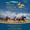 Sz�kely V�gta 2018 