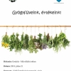 Termkvsr - Gygyfveink, rtkeink! 