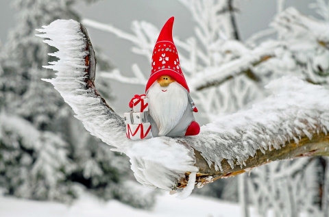 Mikul�sj�r�s a G�bor �ron t�ren - December 5-�n, szerd�n 18 �r�t�l, a G�bor �ron t�ren a Mikul�s ebben az �vben is ell�togat a gyerekekhez. Miut�n az �vod�sokat megaj�nd�kozza, este a főt�rre �rkezik sz�nj�n, hogy az ott v�rakoz�knak is �r�met szerezzen.