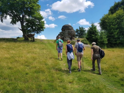 Gyalogt�ra az Asztag-kőre - A Z�ld Nap Egyes�let hagyom�nyait k�vetve a 2019. j�lius 6-�n gyalogt�r�t szervezett az egyes�let tags�ga �s a term�szetj�r�s ir�nt �rdeklődők sz�m�ra.  A szombati kir�ndul�s �ti c�lja a Lemh�ny f�l�tt magasl� Asztag-kő volt, de a 13 kilom�teres �t sor�n m�g sz�mtalan gy�ny�rű helyen megpihenhettek, gomb�szhattak �s gy�gyn�v�nyeket gyűjthettek a t�r�z�k. Az esem�nyen k�sz�lt fot�k az egyes�let Facebook oldal�n megtekinthetőek.

A term�szetj�r�s eg�szs�gre kifejtett pozit�v hat�sait aligha sz�ks�ges bizonygatni, hiszen a WHO (az ENSZ eg�szs�g�gyi szervezete) �ltal v�gzett vizsg�lata szerint az �sz�s mellett a gyalogl�s, (term�szetj�r�s) a legeg�szs�gesebb sport. Ugyanakkor kiv�l� lehetős�g a teljes rekre�ci�ra, a testre �s l�lekre egyar�nt kifejtett j�t�kony hat�sa miatt.

Aki egyszer meg�rzi az '�z�t' �s hangulat�t aligha tud lemondani r�la.

T�mogat�: Bethlen G�bor Alapkezelő Zrt �s az Erasmus+ program

Fot�: R�duly Attila �s Sz�kely Istv�n