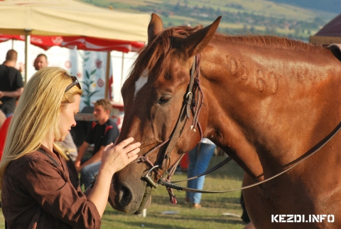 Lovasoktat�t keres�nk!  - A Sacramento Lovas Klub lovasoktat�t 
keres hossz� t�vra gyerekek, felnőttek, 
csoportok lovagoltat�s�ra, 
lovak �tmozgat�s�ra.

Elv�r�sok: megb�zhat�, �n�ll� munkav�gz�s
Bentlak�s megoldhat�, b�rez�s megegyez�s szerint
H�zasp�rok jelentkez�s�t is v�rjuk.
Kezd�s: azonnal

Tel: 0744 590 321/ 0740 183 089
sacramento.lovasklub@gmail.com