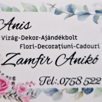Anis Virág-Dekor és Ajándékbolt